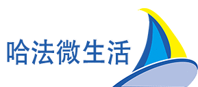 哈法